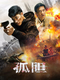 孤胆海报